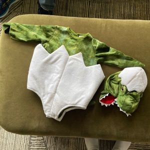 Pottery Barn baby dinosaur Halloween costume 12-24 mo